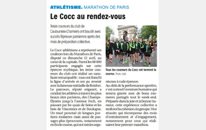 Article DL du 16-04-26