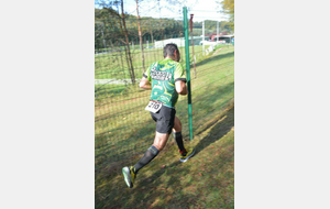 Entraînement